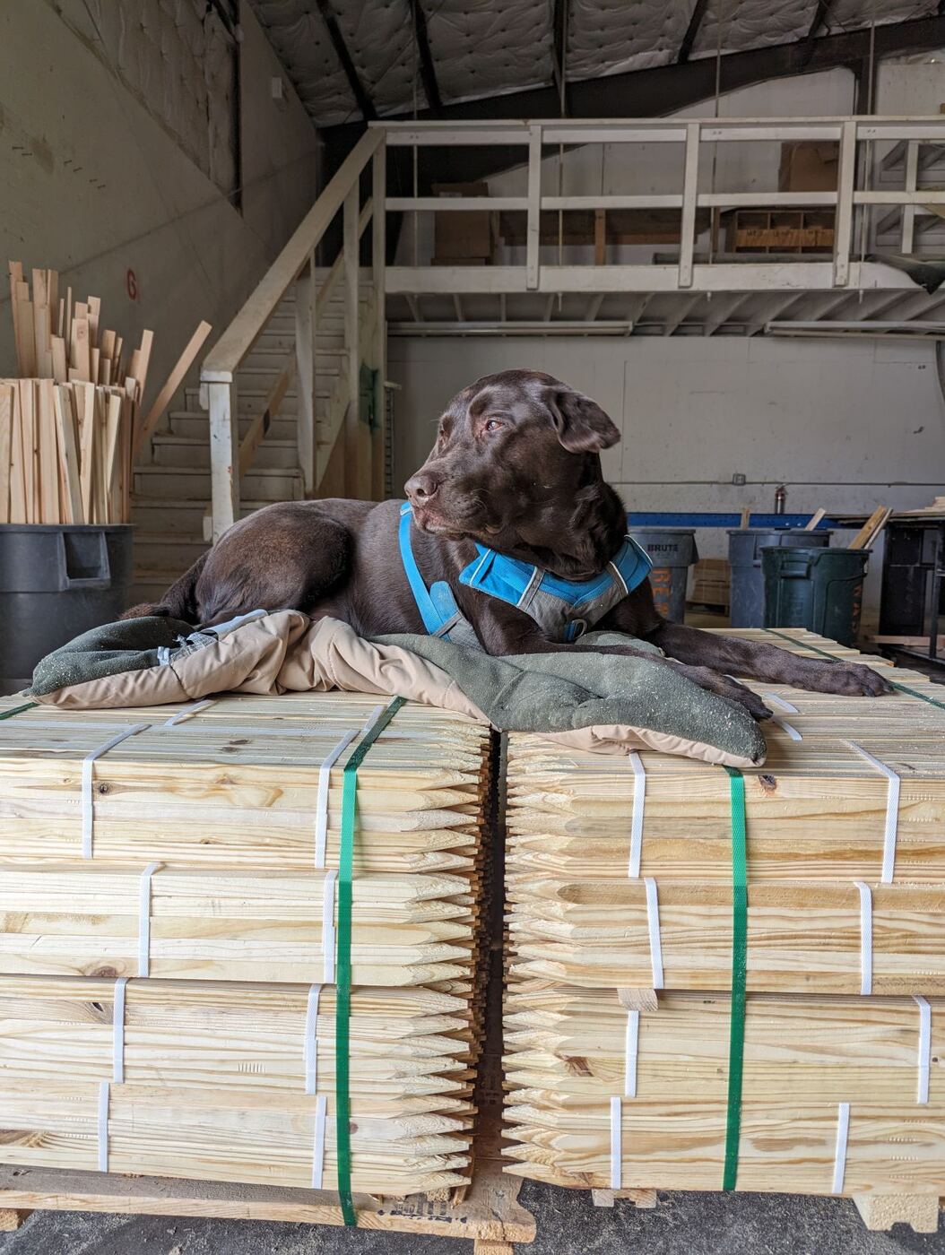 Pallet of pointed wood stakes inside the shop.